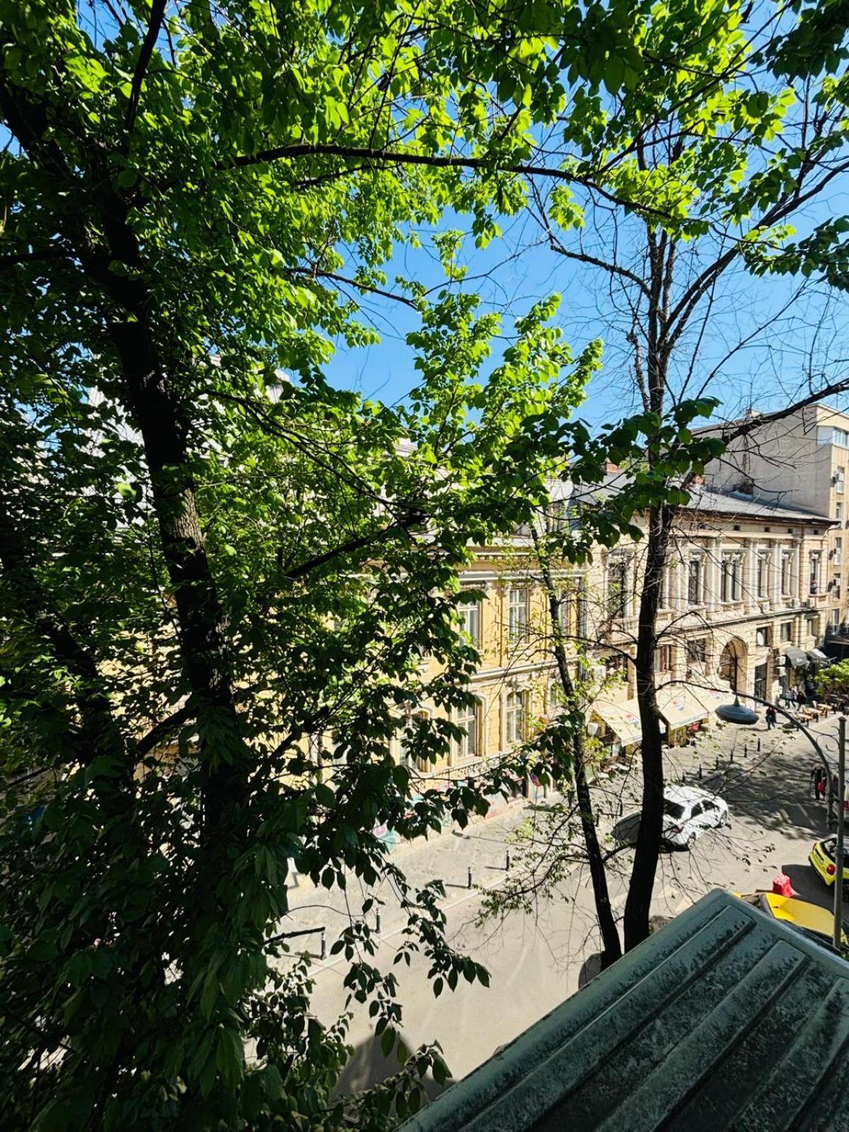 Iancu Apartments Bucureşti Eksteriør bilde